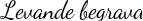 Levande begravd